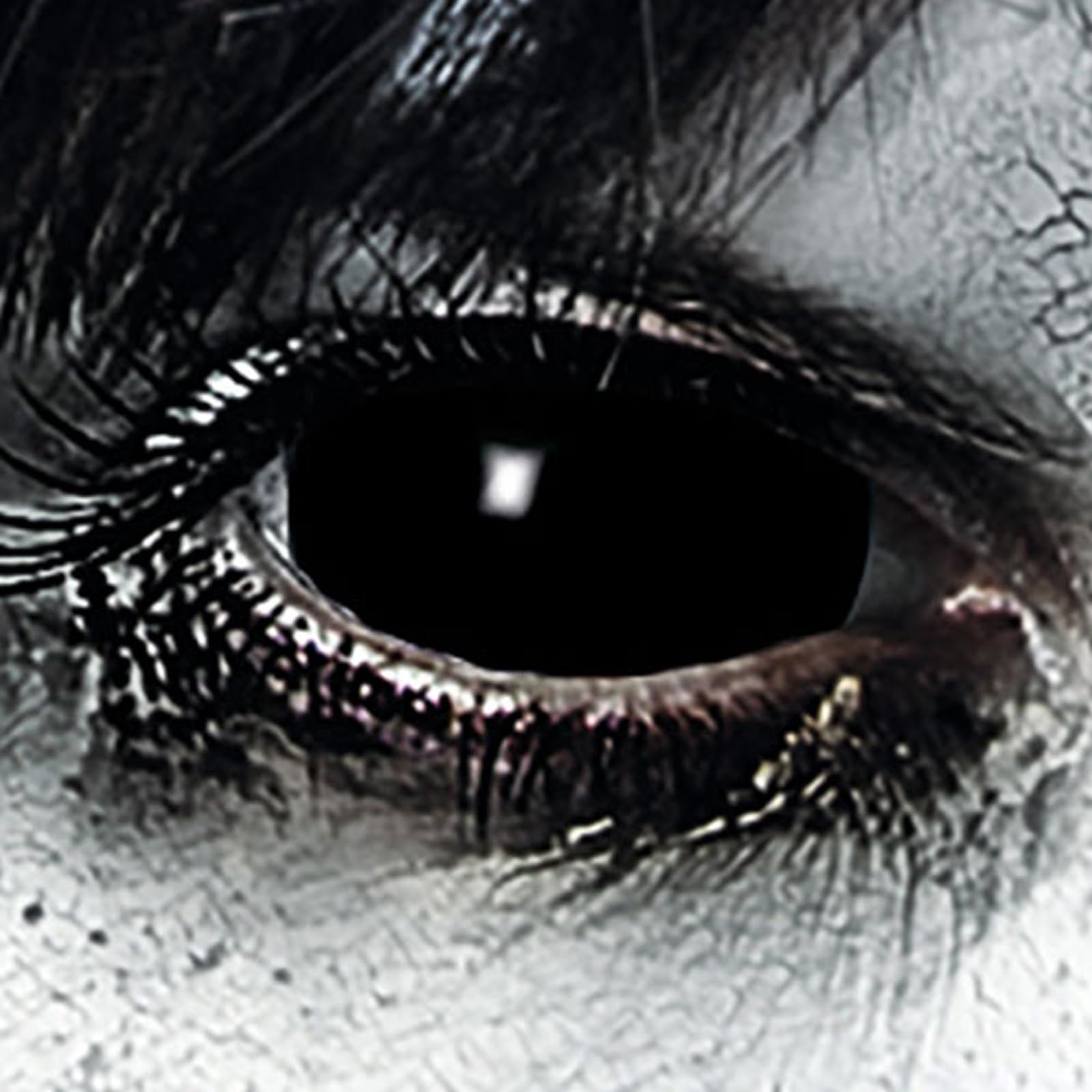 Leo Eyes Black Sclera Contact Lenses - 1 Pair (22mm) - Premium Halloween Cosplay Lenses for Zombie, Vampire & LARP Costumes | Perfect for Halloween, Carnival & Theatrical Performances