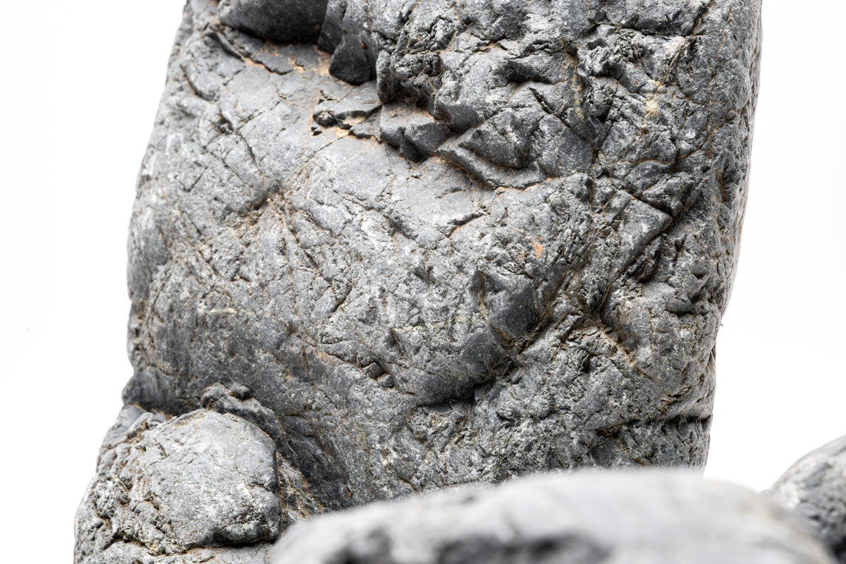 Marsh Stone - Natural Decorative Stones for Landscaping, Aquariums & Terrariums | Perfect for Garden Pathways, Ponds & DIY Projects