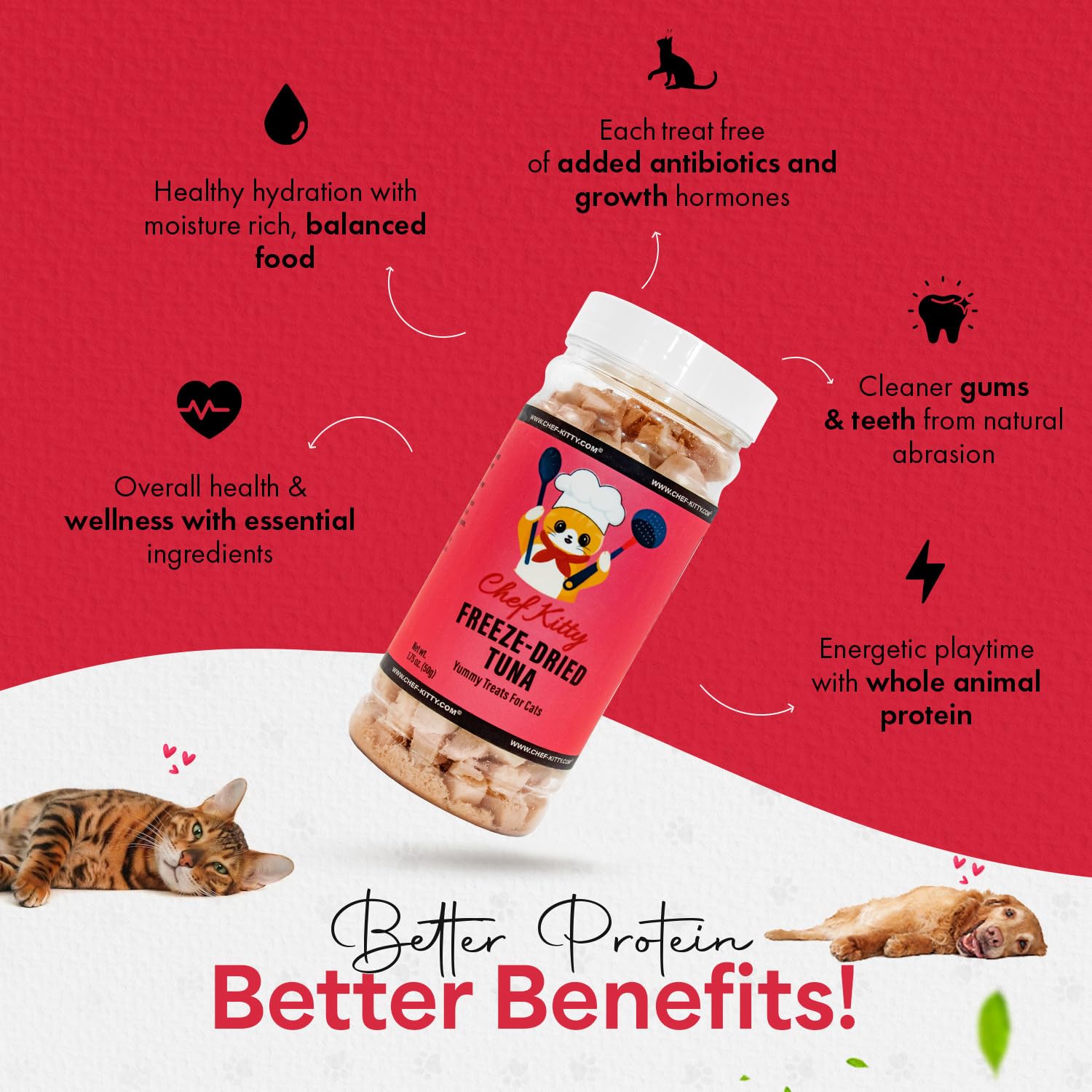 Freeze Dried Tuna Cat & Dog Treats - 100% Wild Caught, Single Ingredient, Grain-Free - Healthy Natural Snacks for Indoor Cats, Kittens & Dogs - USA Inspected & Tested - 1.75oz - Perfect for Training Rewards and Daily Treats