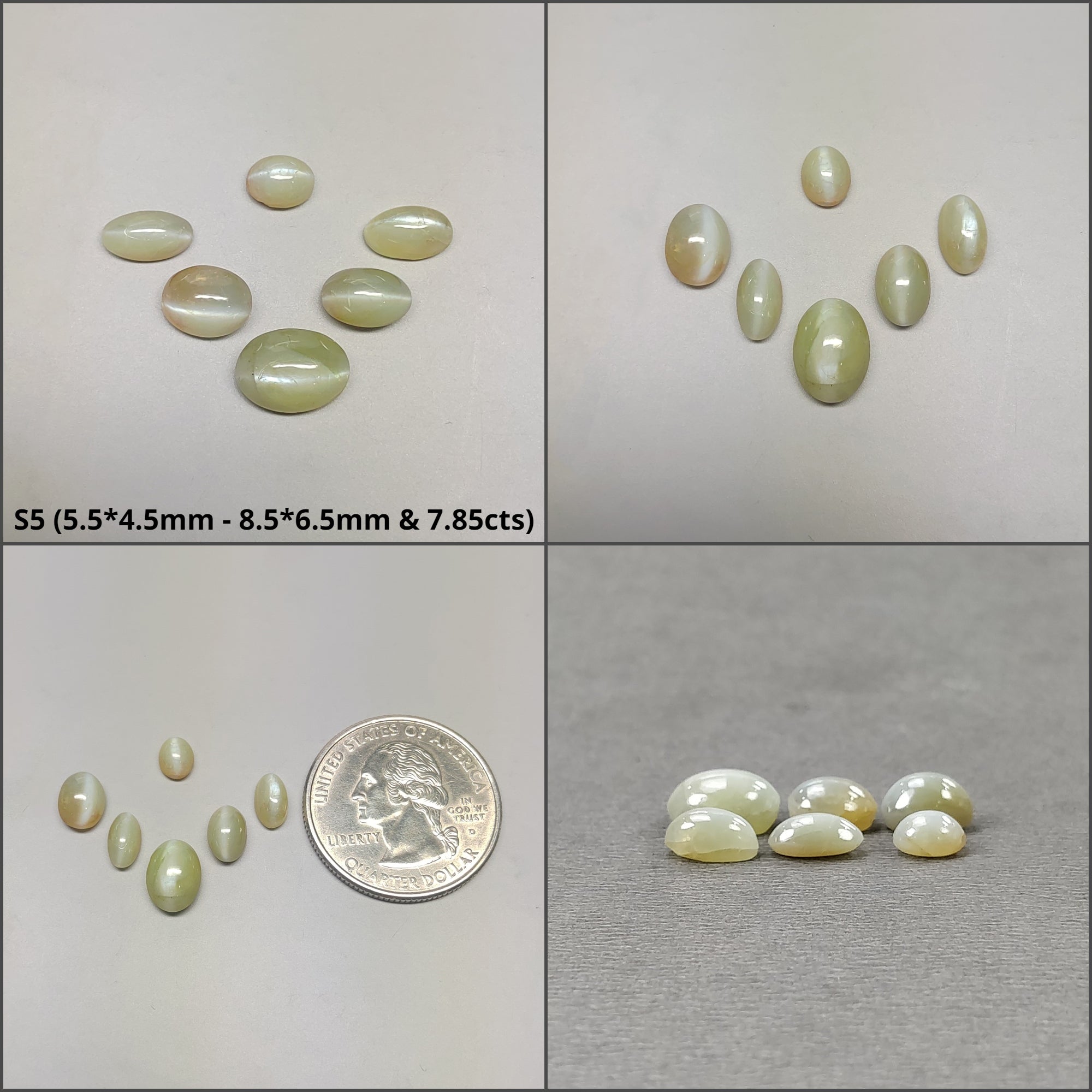 Natural Untreated Chrysoberyl Cat's Eye Gemstone Cabochon - Round & Oval Shapes (2pcs, 3pcs, 6pcs, 10pcs) | Healing Crystal for Jewelry Making, Meditation & Energy Work