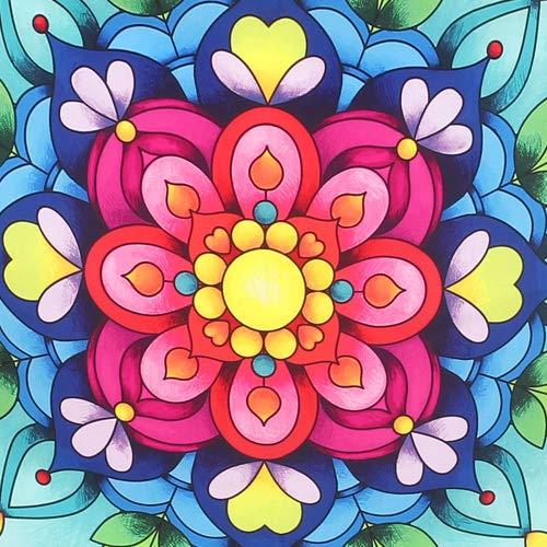 Colorful Floral Motif