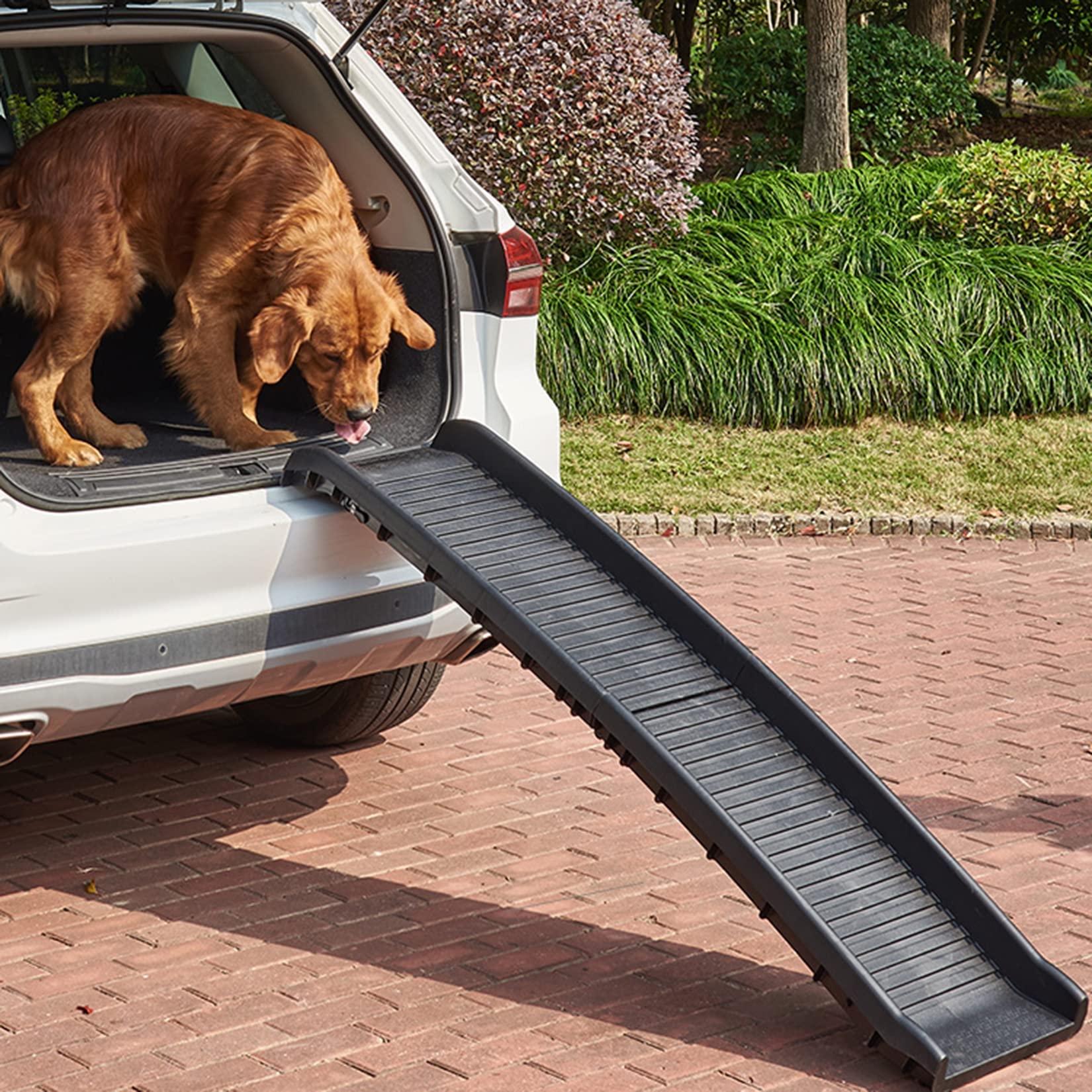 Qabinvoe Lightweight Collapsible Dog Stairs & Ramp - Portable Pet Steps for Cars, Beds, Sofas | Non-Slip Surface, Easy Storage | Perfect Gift for Small & Medium Dogs - Great for Travel, Home Use & Senior Pets