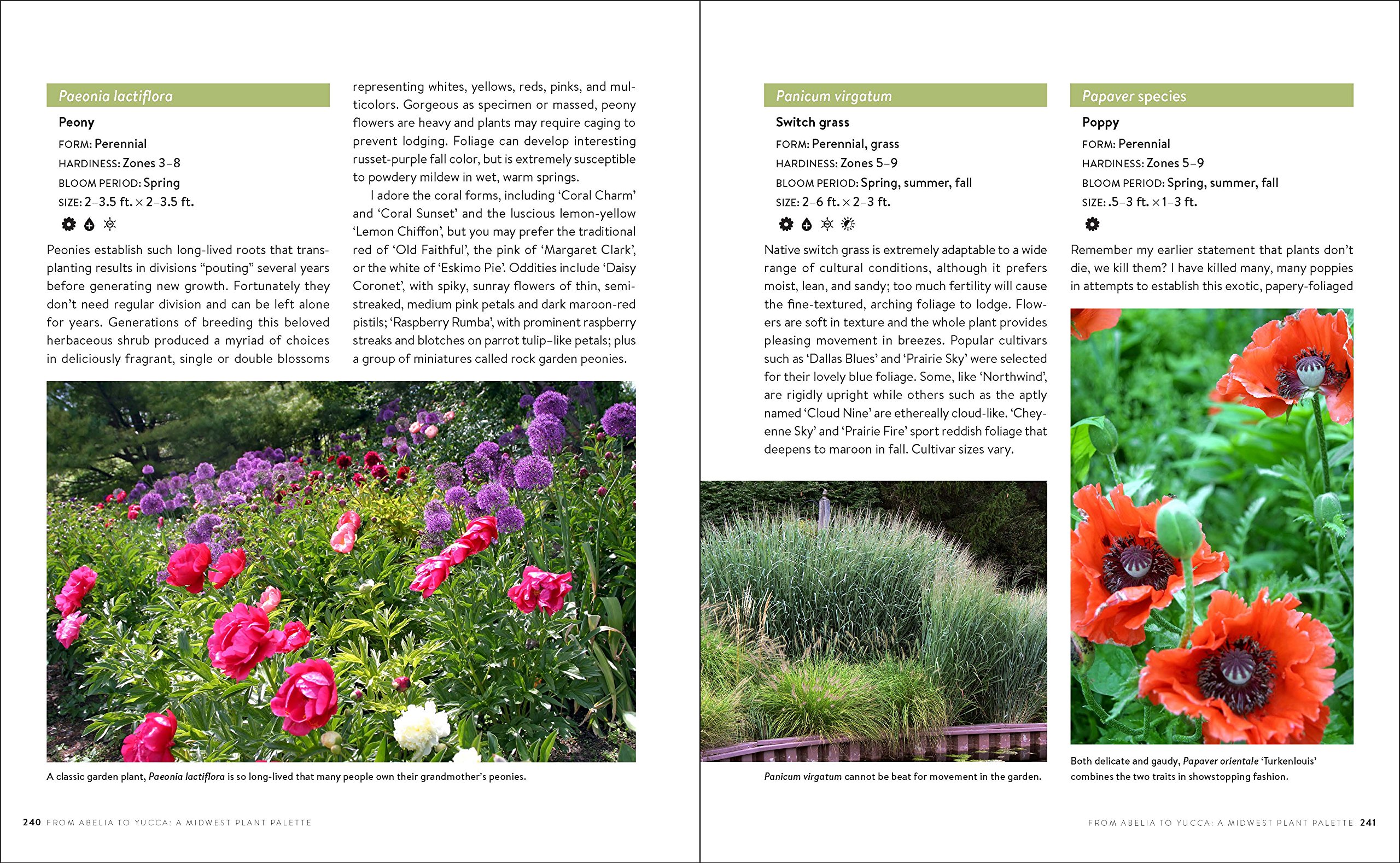 Growing the Midwest Garden: Regional Ornamental Gardening Guide for Beautiful Landscapes | Perfect for Midwest Homeowners & Garden Enthusiasts