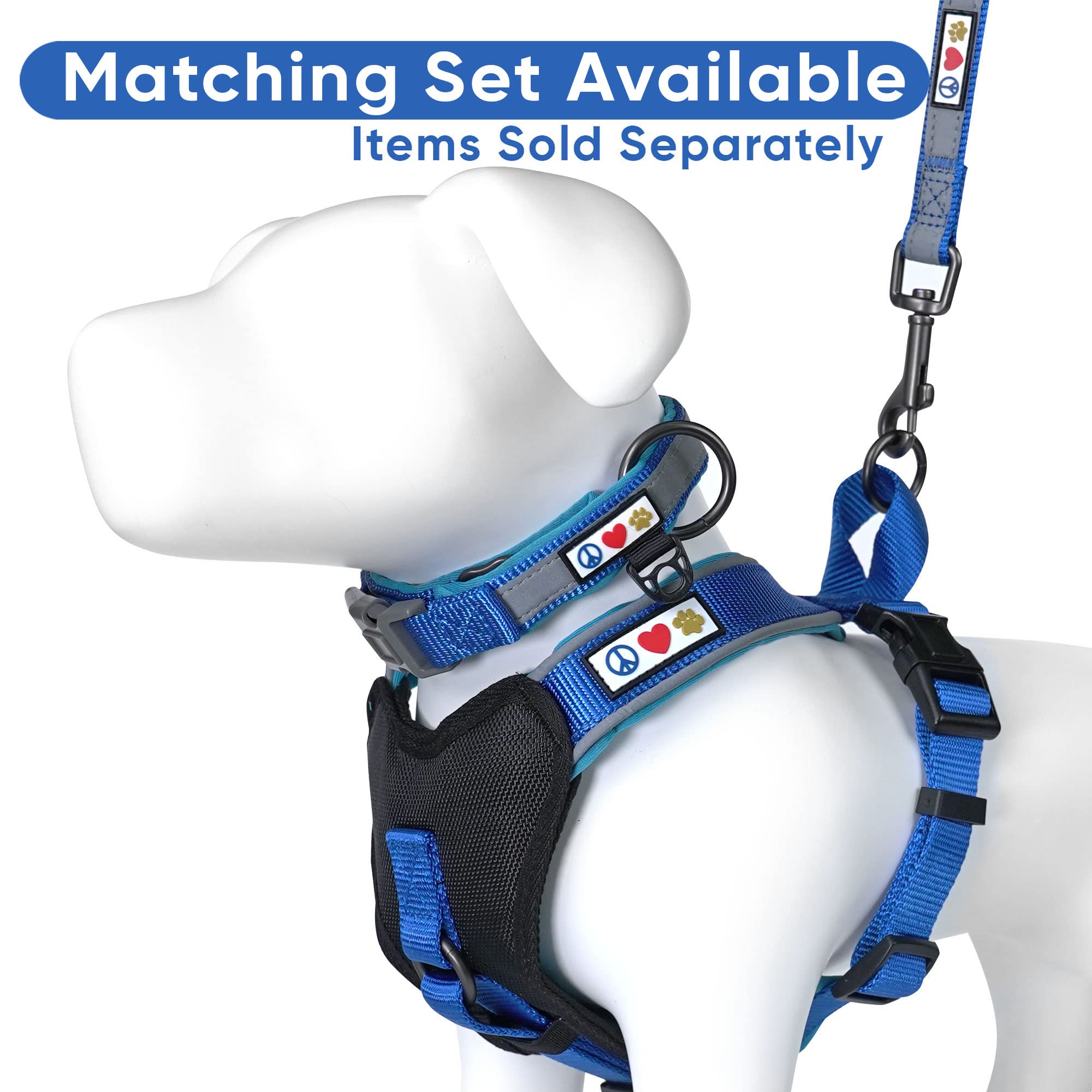 Pawtitas Reflective Dog Harness - Padded & Comfortable Pet Vest for Walking, Running & Outdoor Adventures - Medium Size in Blue - Perfect for Nighttime Safety & Daily Dog Activities