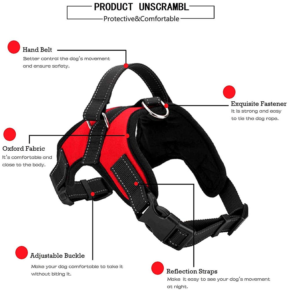 Best No Pull Dog Harness with Handle - Adjustable, Breathable Pet Vest for Small, Medium & Large Dogs - Perfect for Walking, Training & Outdoor Adventures (Includes Free Dog Leash)