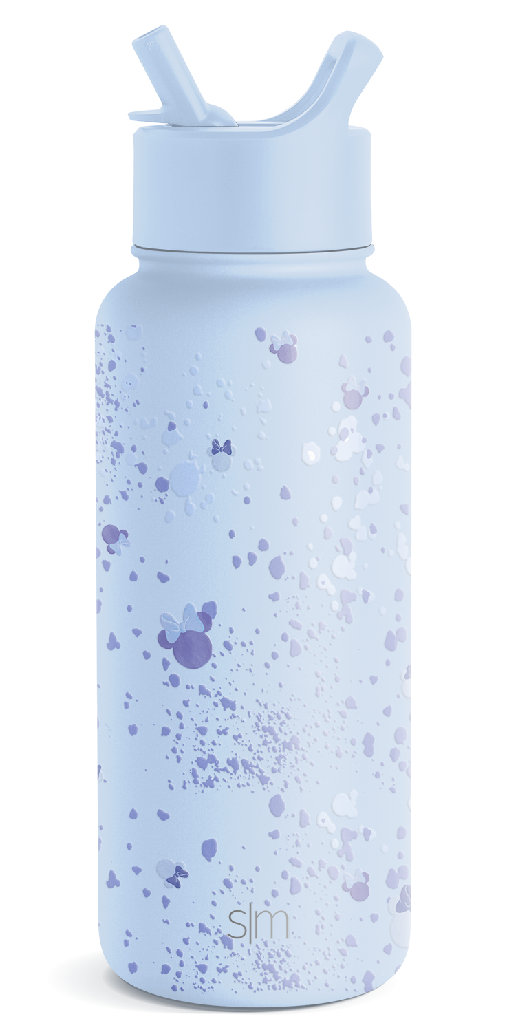 Disney Summit Insulated Water Bottle with Straw Lid - Leakproof Stainless Steel Thermos for Kids, School, Gym & Outdoor Activities