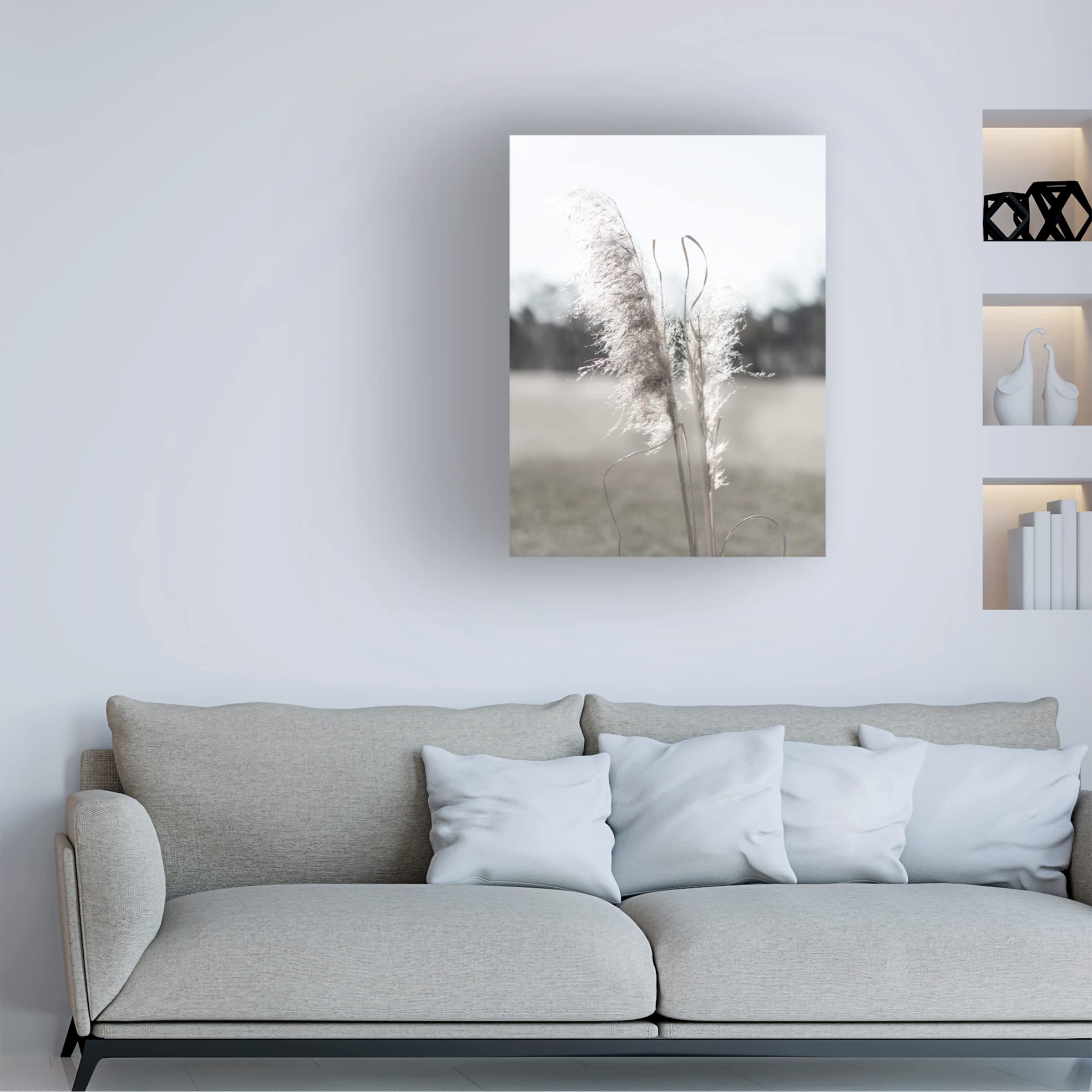 Jason Johnson 'Ethereal Pampas I' Canvas Wall Art Print - Modern Boho Home Decor for Living Room, Bedroom & Office - Trademark Fine Art Collection