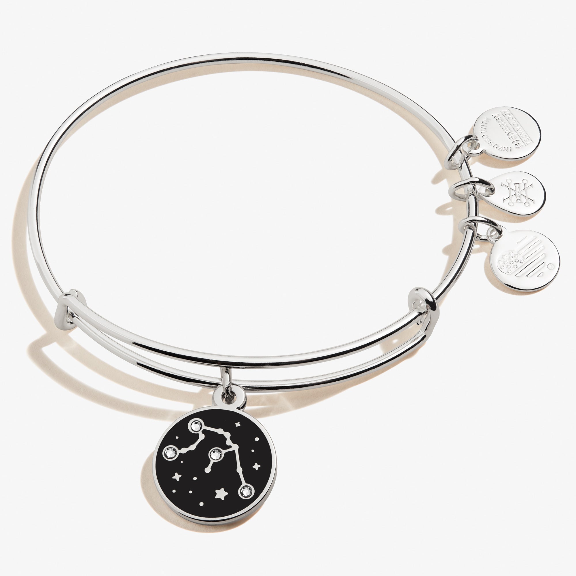 Aquarius Zodiac Charm Bracelet - Sterling Silver Adjustable Bangle for Women - Perfect for Birthday Gifts, Daily Wear & Astrology Lovers