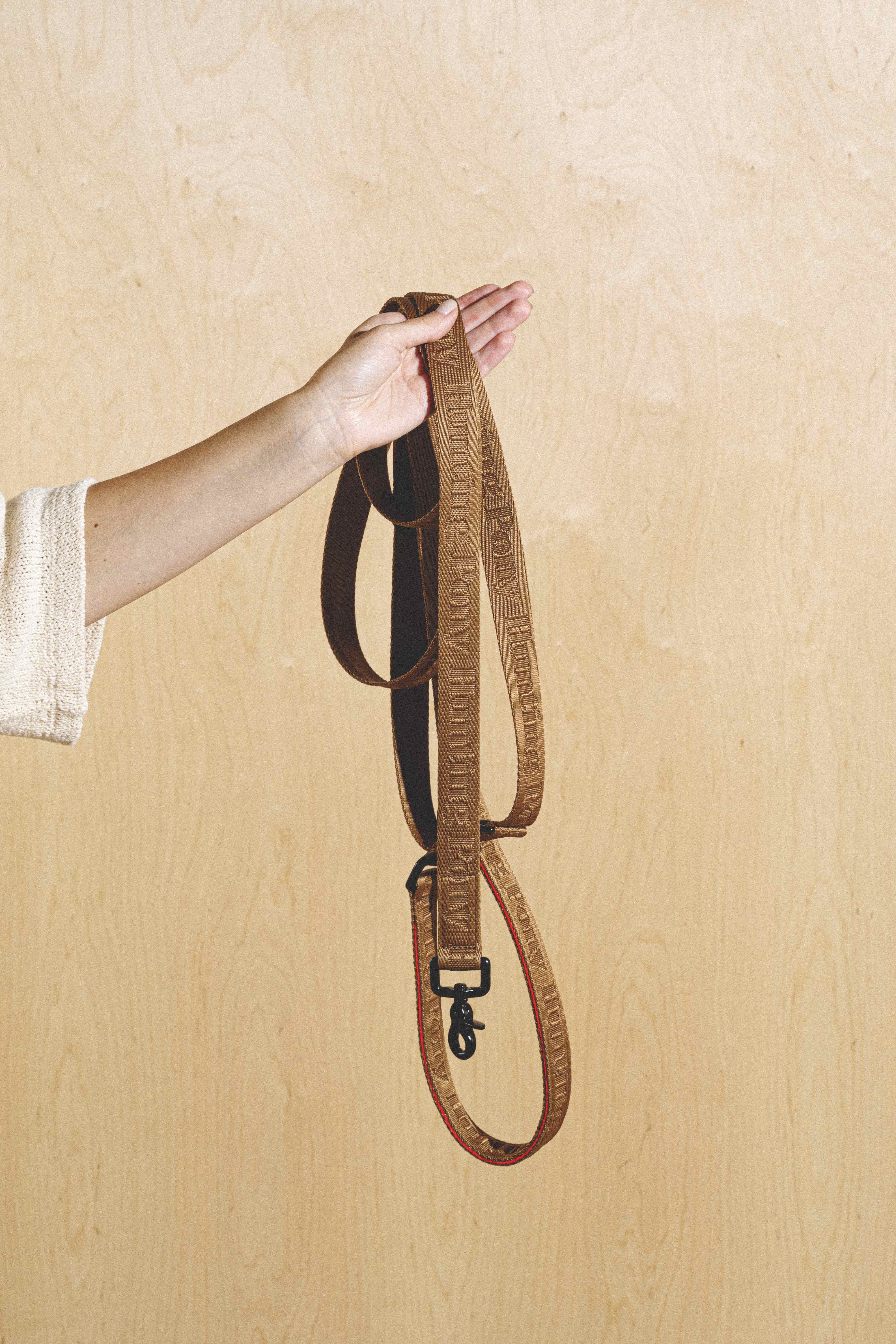Best Dog Running Leash - Pony Companiony Ginger for Active Pets | Perfect for Jogging, Hiking & Outdoor Adventures