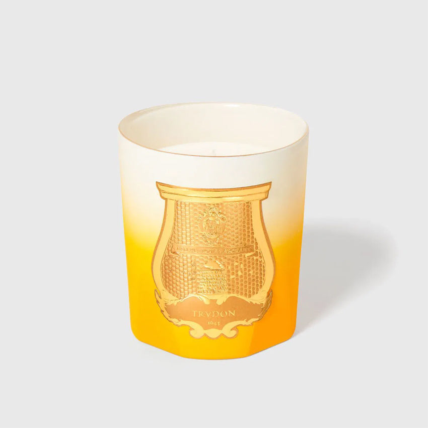 Cire Trudon Isla de Oro Classic Scented Candle - Special Edition Luxury Home Decor | Perfect for Living Room, Bedroom & Gift Giving