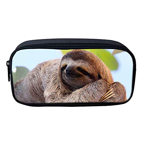 sloth