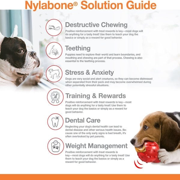Nylabone Power Chew Bacon & Chicken Flavor Durable Dog Chew Toy for Aggressive Chewers - Tough Puppy Teething Toy for Large & Medium Dogs - Great for Indoor & Outdoor Playtime