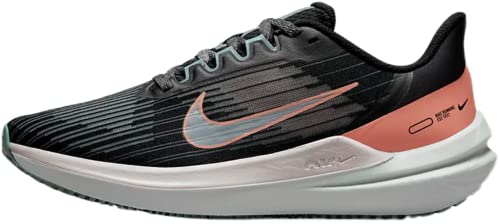Black/Venice (Air Winflo 9) Dd8686-004