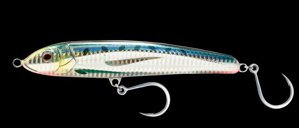 Sardine