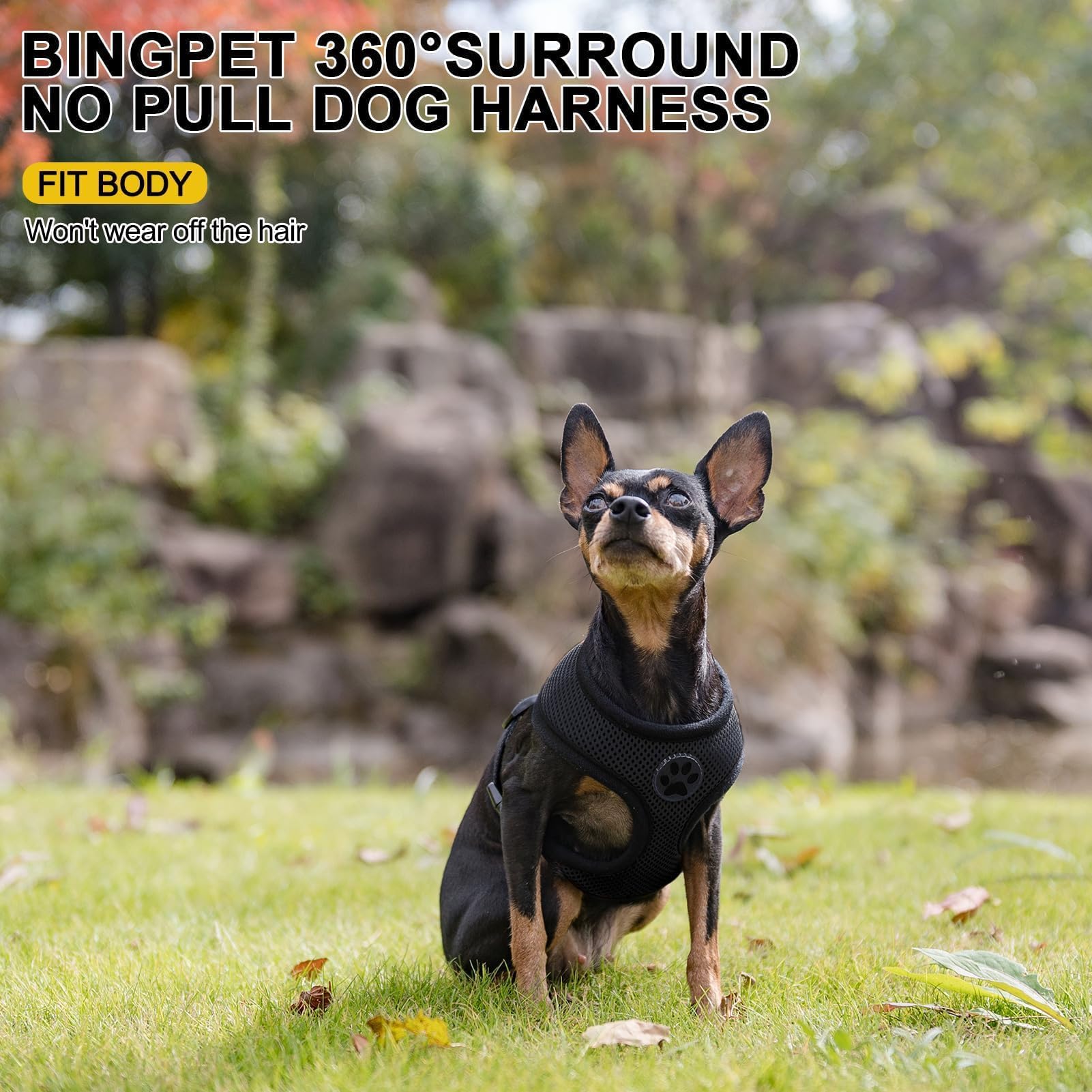 BINGPET Small Dog Harness - No Pull Adjustable Mesh Puppy Vest for Small & Medium Dogs - Perfect for Walking, Training & Outdoor Adventures
