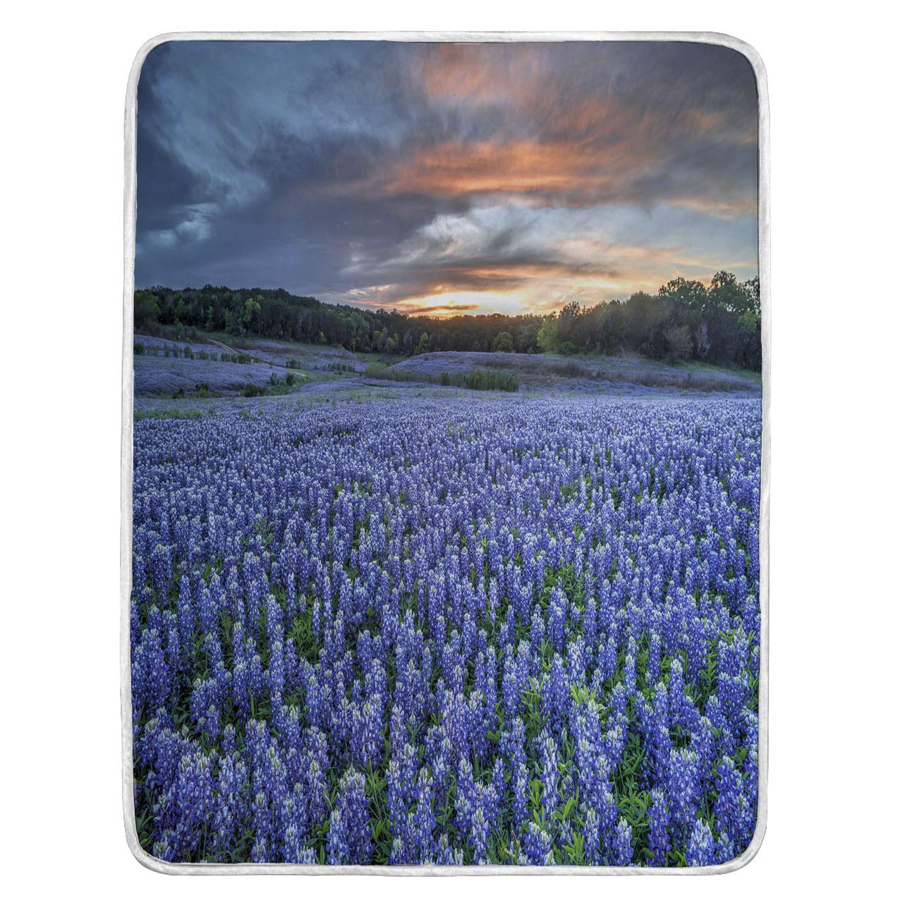 BEIVIVI Weighted Blanket for Adults & Kids - Soft Cozy Throw Blanket for Couch, Bed, Sofa - Texas Bluebonnets Floral Design - Twin Size 60x80 Inches - Perfect for Relaxation, Stress Relief & Better Sleep