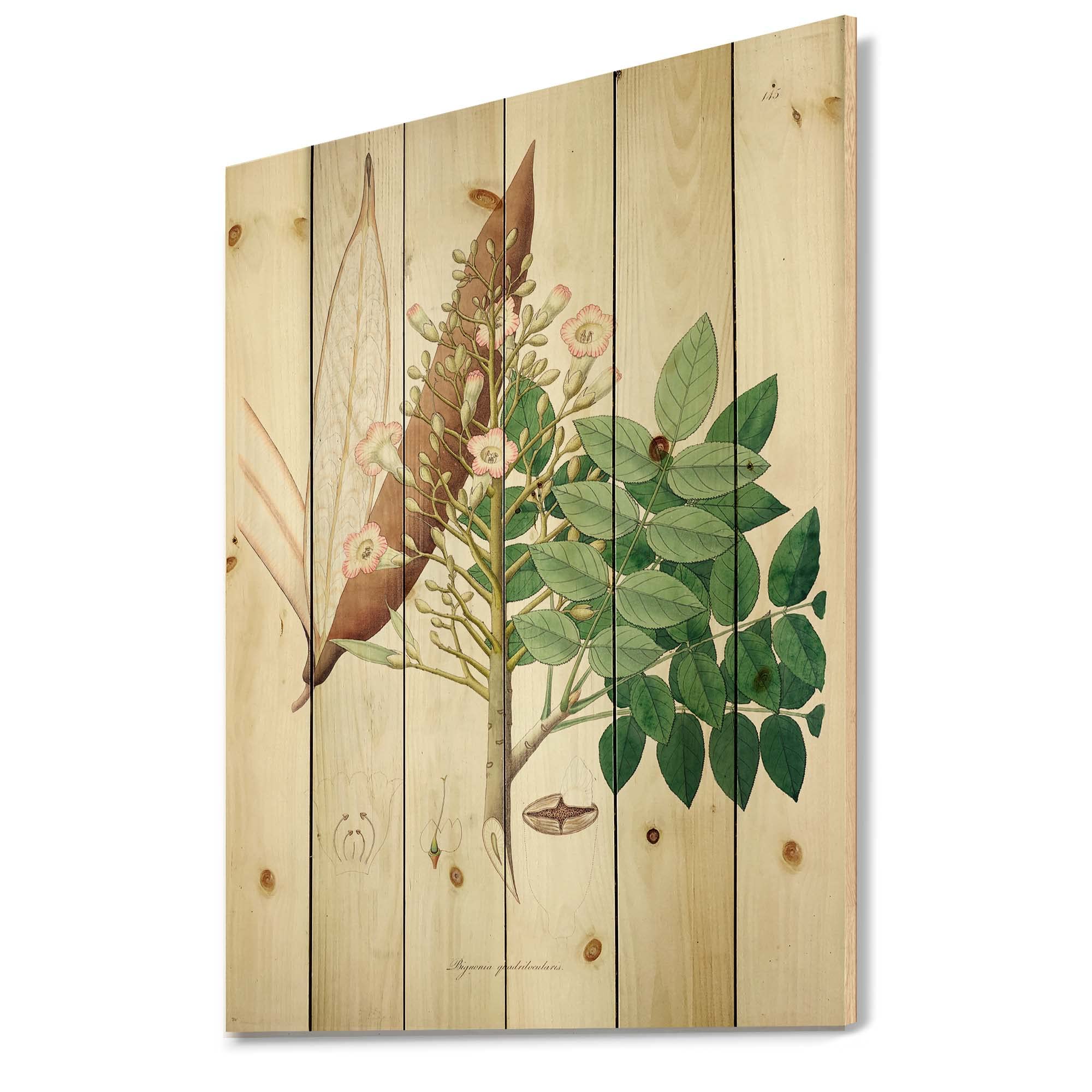 DesignQ Vintage Botanicals Farmhouse Wood Wall Decor - Green Floral Wood Wall Art Panels Printed on Natural Pine - Perfect for Living Room, Bedroom & Home Office Decor