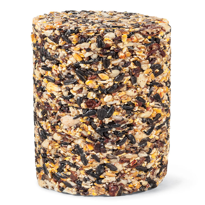 Woodpecker Seed Log Jumbo - Premium Bird Feeder for Wild Birds - Attract Woodpeckers, Finches & More - Perfect for Backyards, Gardens & Outdoor Bird Watching