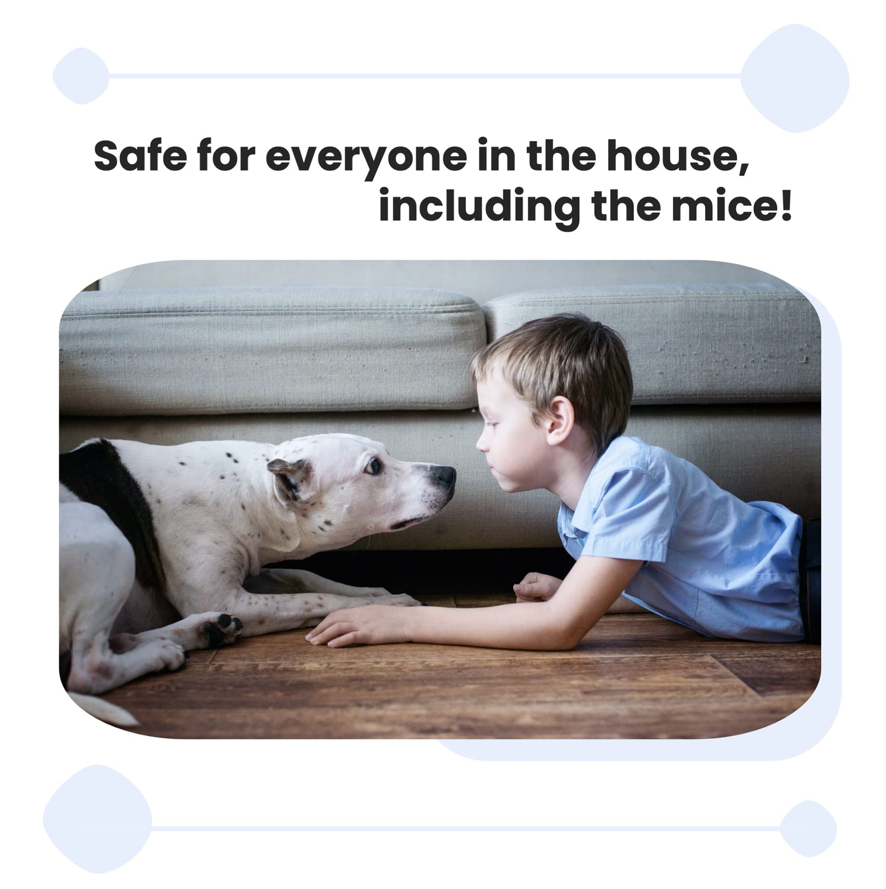 Humane Mouse Trap - Catch & Release Live Mouse & Rat Trap for Home & Country - Safe & Effective Rodent Control (Large & Small Sizes) - Perfect for Indoor & Outdoor Use in Homes, Garages, and Sheds