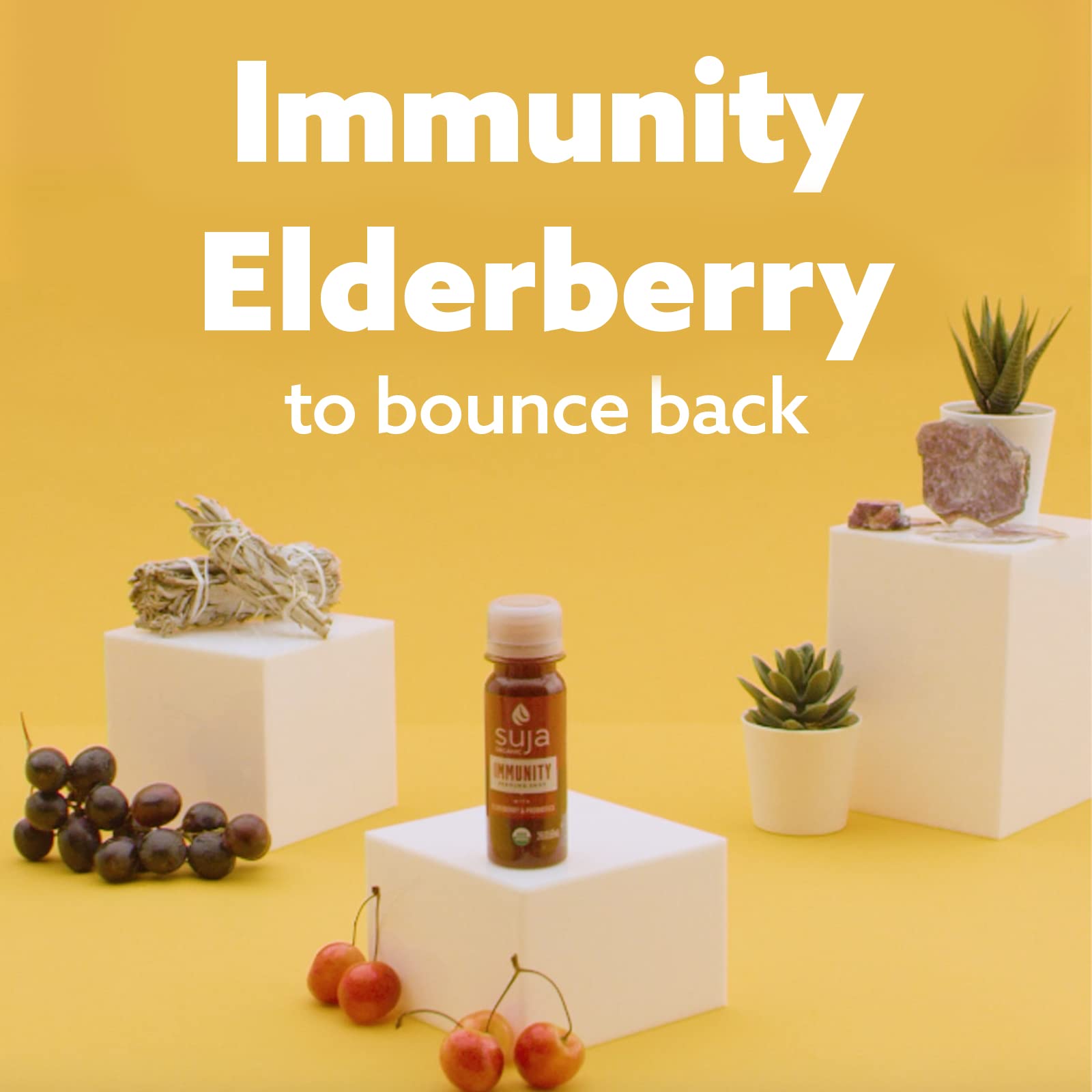 Suja Organic Immunity Elderberry Shot (60 Pack) with Turmeric and Ginger | Immune System Booster | Cold-Pressed Juice with Live Probiotics | Plant-Based, Gluten-Free Functional Shots | Great for Daily Wellness, Travel & Immune Support