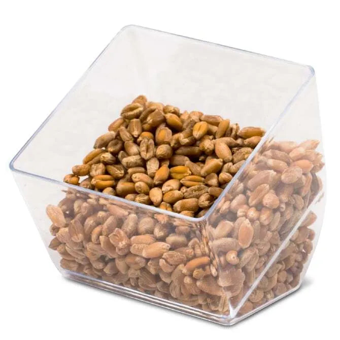 2Oz Cubo Cup - Small Espresso Cups with Handle, Perfect for Coffee, Tea, and Dessert - Ideal for Home, Office, and Cafe Use