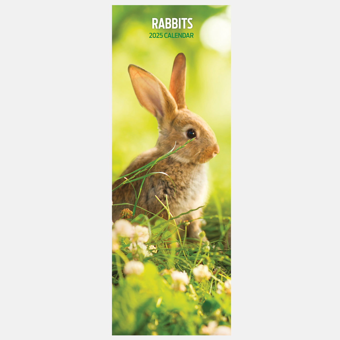 2025 Slim Rabbit Wall Calendar - Minimalist Design for Home & Office Decor | Perfect for Gifts, Planners, and Animal Lovers