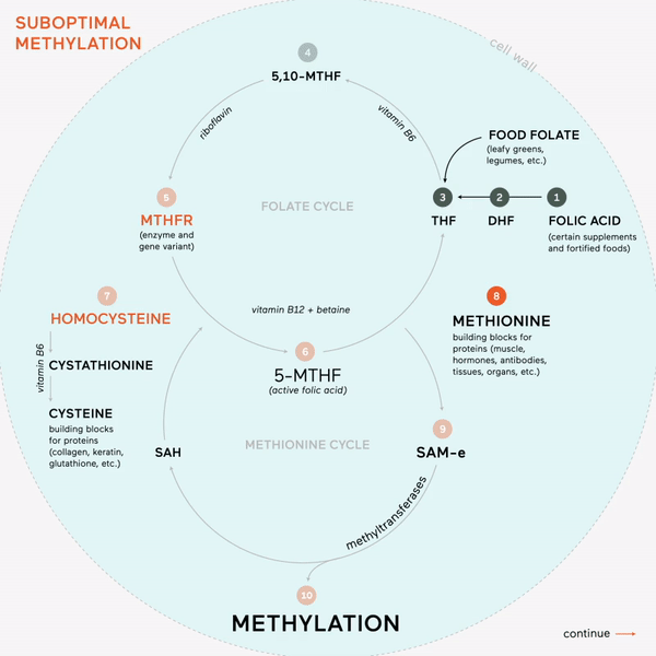 Methylation Support Supplement - 3 Month Supply for Optimal Health & Wellness | Supports Detox, Energy & Immune Function