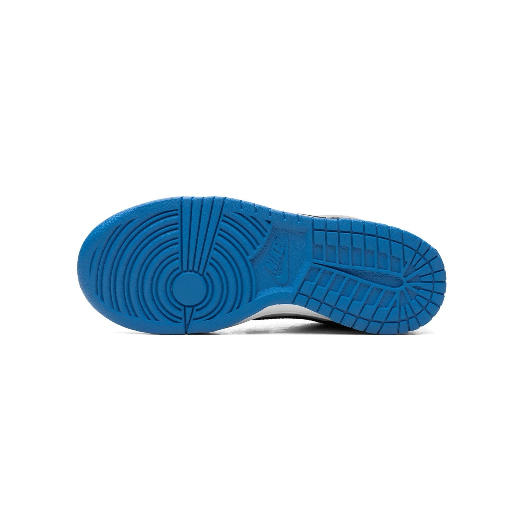 Nike Dunk Low GS Sneakers for Girls - Cool Grey Retro Basketball Shoes for Casual Wear & Street Style