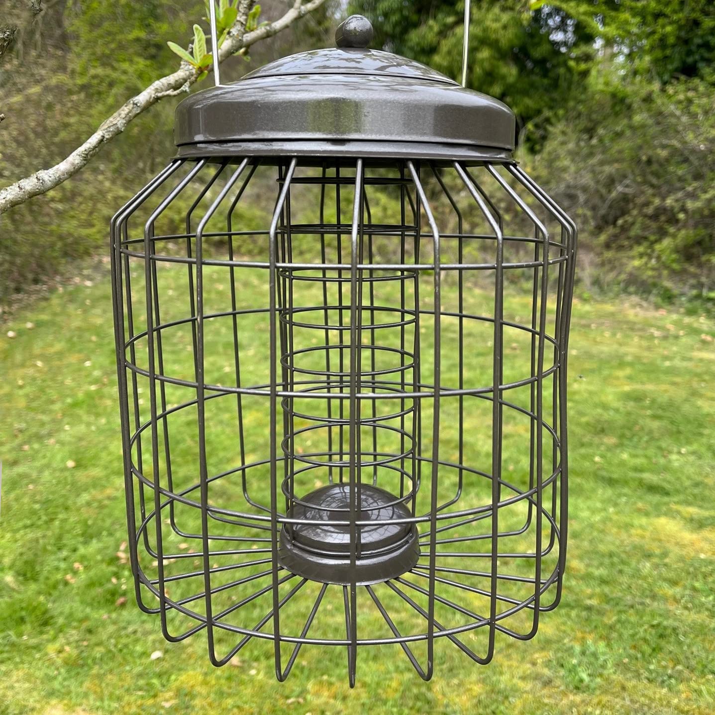 Premium Squirrel-Proof Suet Feeder Cage - Heavy Duty Metal Bird Feeder for Outdoor Use - Ideal for Backyards, Gardens, and Bird Watching Enthusiasts