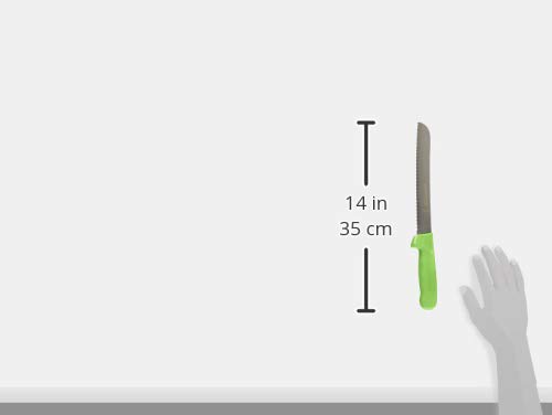 Dexter Outdoors 8 Inch Scalloped Bread Knife with Ergonomic Green Handle - Perfect for Slicing Bread, Cakes, and Pastries at Home or Bakery