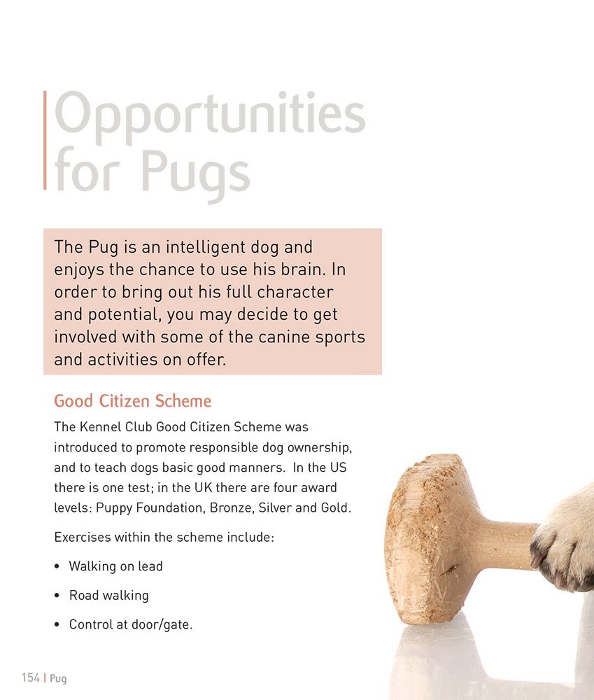 **Pug Dog Care Guide: Expert Tips for Training, Grooming & Health | Perfect for Families & First-Time Owners**    *(Use Cases: Ideal for new pug owners, families with kids, or anyone looking for expert advice on raising a happy and healthy pug.)*