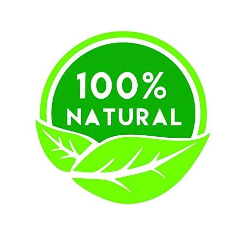 Havintha Natural Herbal Shampoo with Amla, Reetha, Shikakai & Aloe Vera - Sulfate & Paraben Free for Oily Hair Care (8oz) - Gentle Cleansing for Men & Women - Perfect for Daily Use & Scalp Nourishment