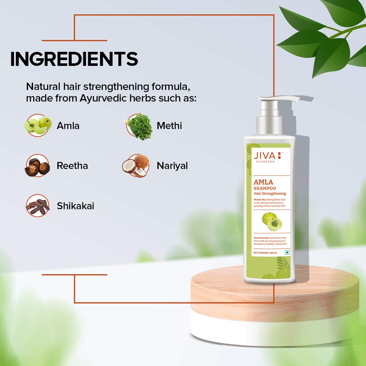 Jiva Amla Shampoo 200ml (Pack of 2) - 100% Pure & Natural Hair Care for Scalp Cleansing, Hair Strengthening | Prevents Hair Loss, Dandruff & Premature Graying | Ayurvedic Pitta Dosha Balancing Shampoo | Perfect for Daily Hair Wash & Holistic Hair Treatment