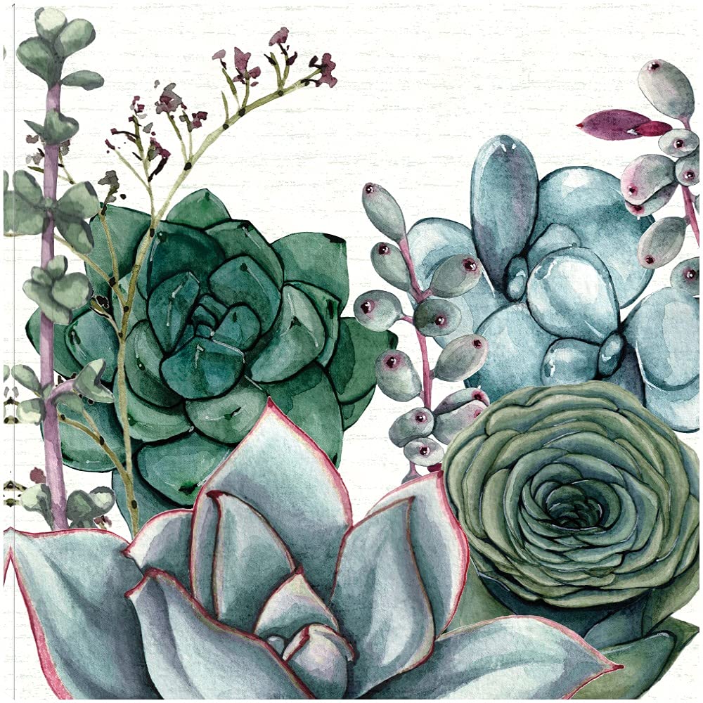 Succulent Garden Canvas Wall Art - 22x22 Inch Hand-Painted Fine Art by Susan Jill - Ready to Hang Home Decor for Living Room, Bedroom, Office - Perfect for Modern, Boho & Farmhouse Interior Design
