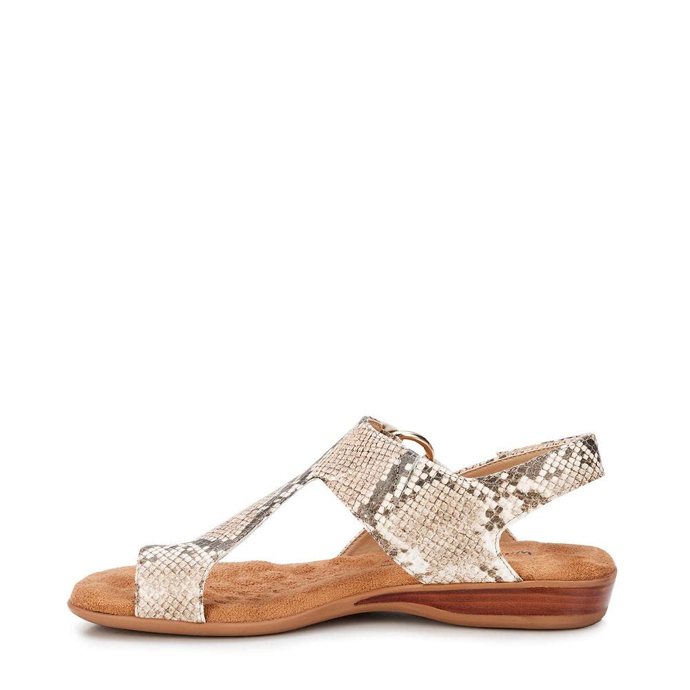 Walking Cradles Women's Natalia Comfortable Slip-On Loafers - Casual & Dressy Shoes for Work, Travel & Everyday Wear