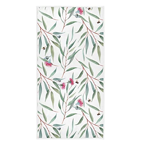 Eucalyptus