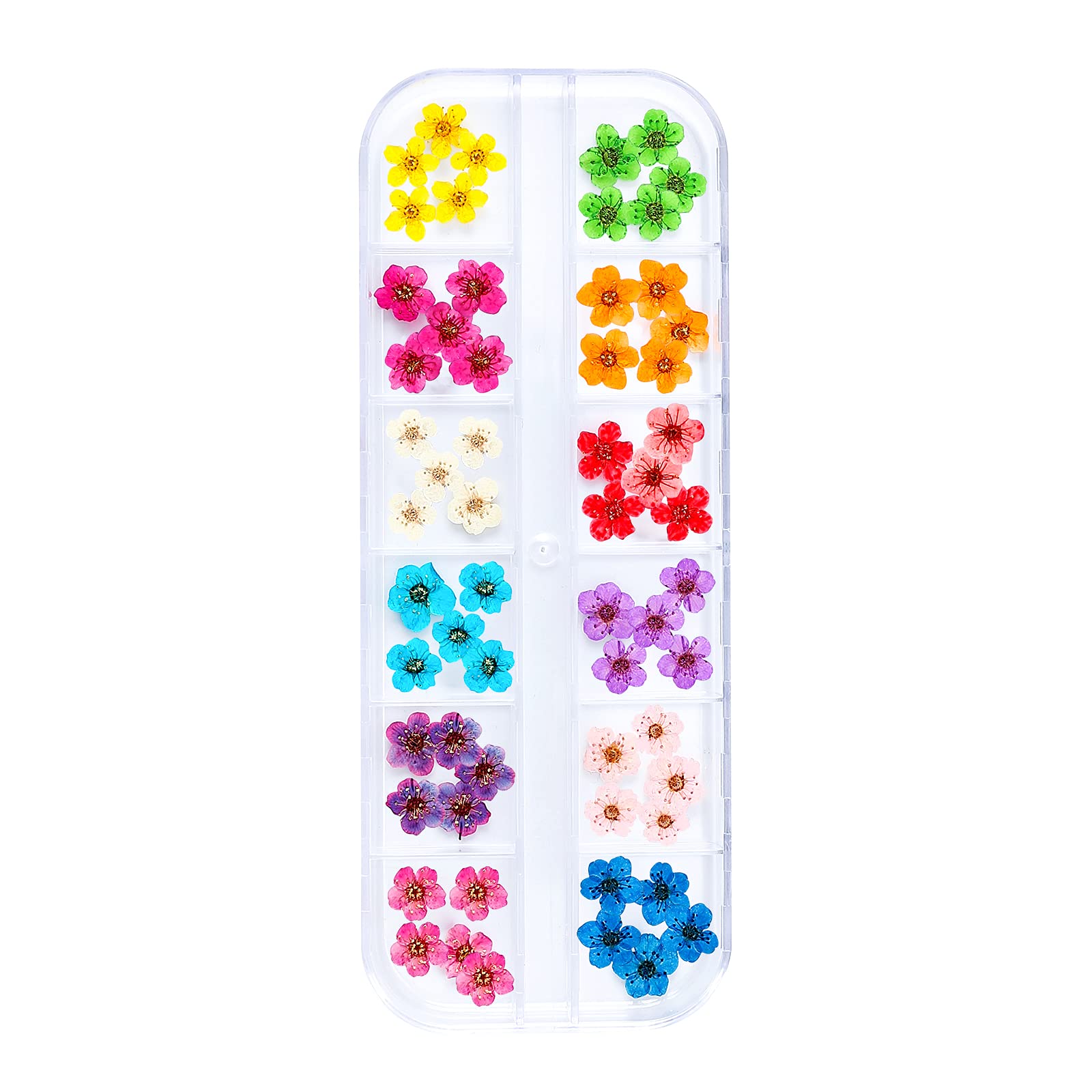 Natural Dried Mixed 3D & Pressed Mini Flowers for Nail Art - Handmade Pressed Flower Charms for DIY Resin Crafts - 12 Colors, 60 PCS - Perfect for Nail Decoration, Jewelry Making, and Scrapbooking Projects