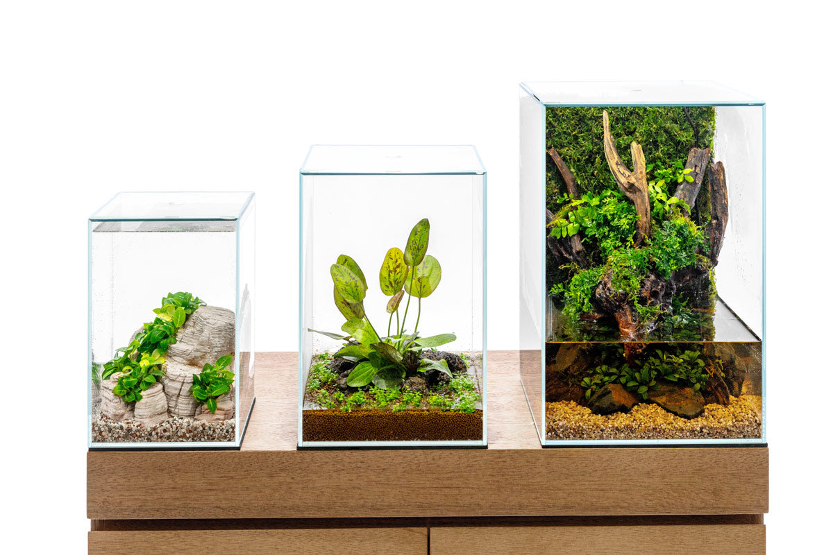 UNS Prism Glass Aquarium Tank with Flush Lid - Perfect for Home, Office & Nano Fish Breeding