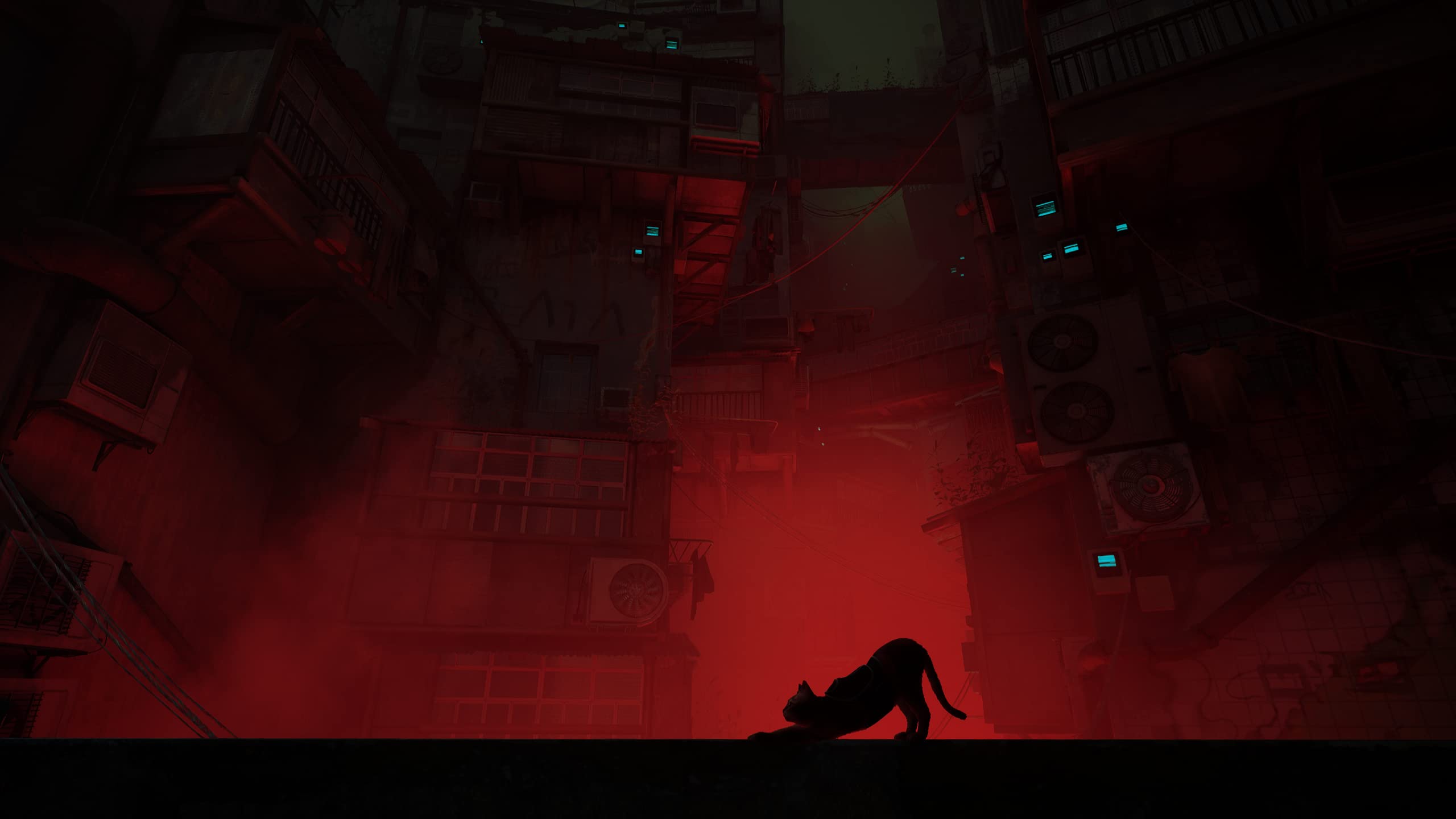 Stray - PlayStation 4 Game | Adventure Cat Simulation for PS4 | Explore Cyberpunk City as a Lost Feline | Perfect for Cat Lovers & Adventure Gamers