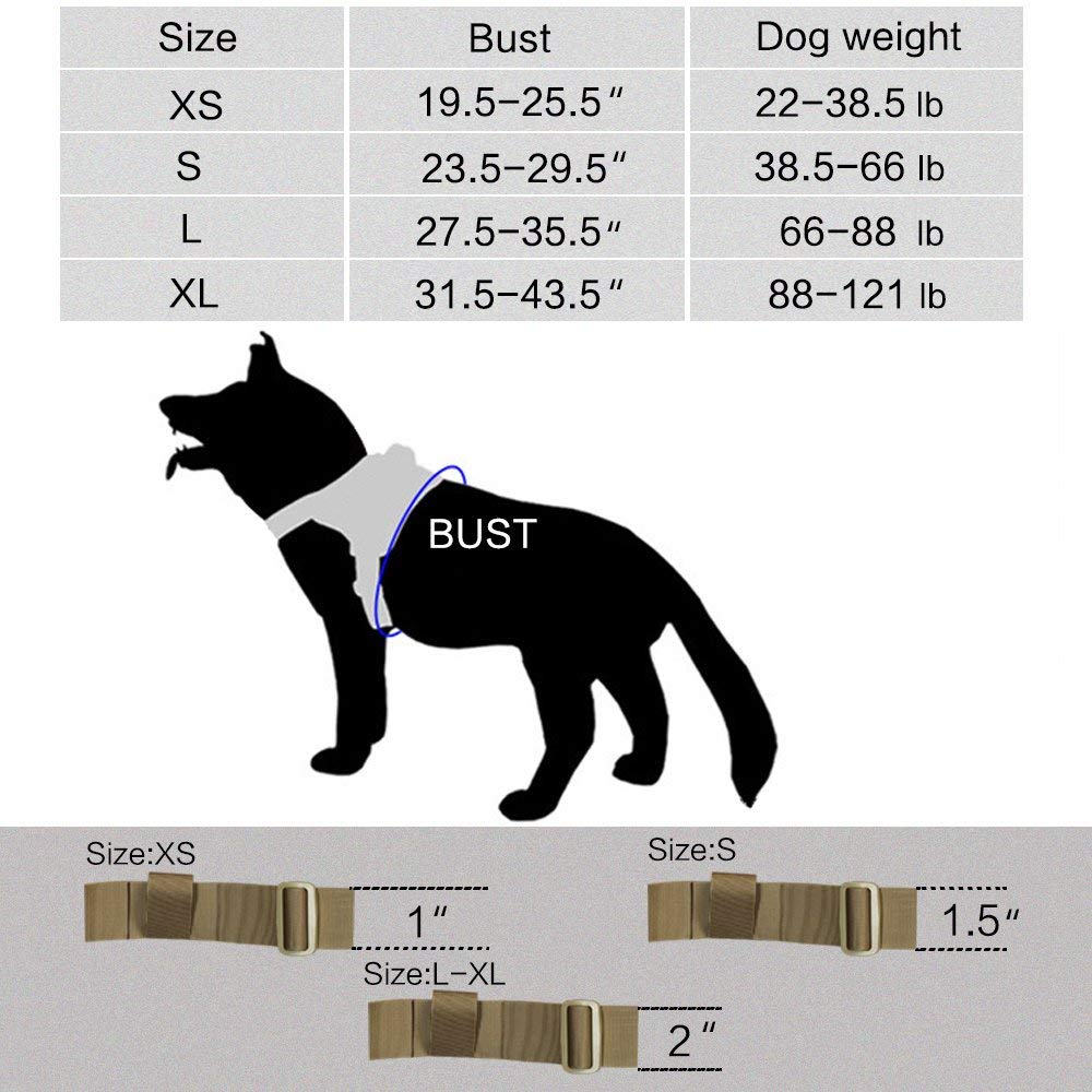 Medium Tactical Dog Collar - Adjustable Small Tactical Dog Harness with Bungee Leash & Handle for Outdoor Hiking, Training & Daily Walks