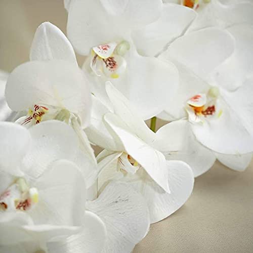 40 Inch Artificial Phalaenopsis Silk Orchid Flowers - Real Touch White Fake Orchid Branches for Home, Office, Wedding, Party & Event Decor - Pack of 2 - Perfect for Centerpieces, Vase Arrangements & Wall Decor
