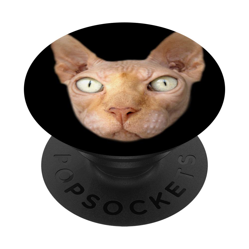 Egyptian Sphinx Face Cat Lover Gift - Unique Holiday Deals for Cat Enthusiasts | Perfect for Christmas, Birthday & Housewarming Gifts