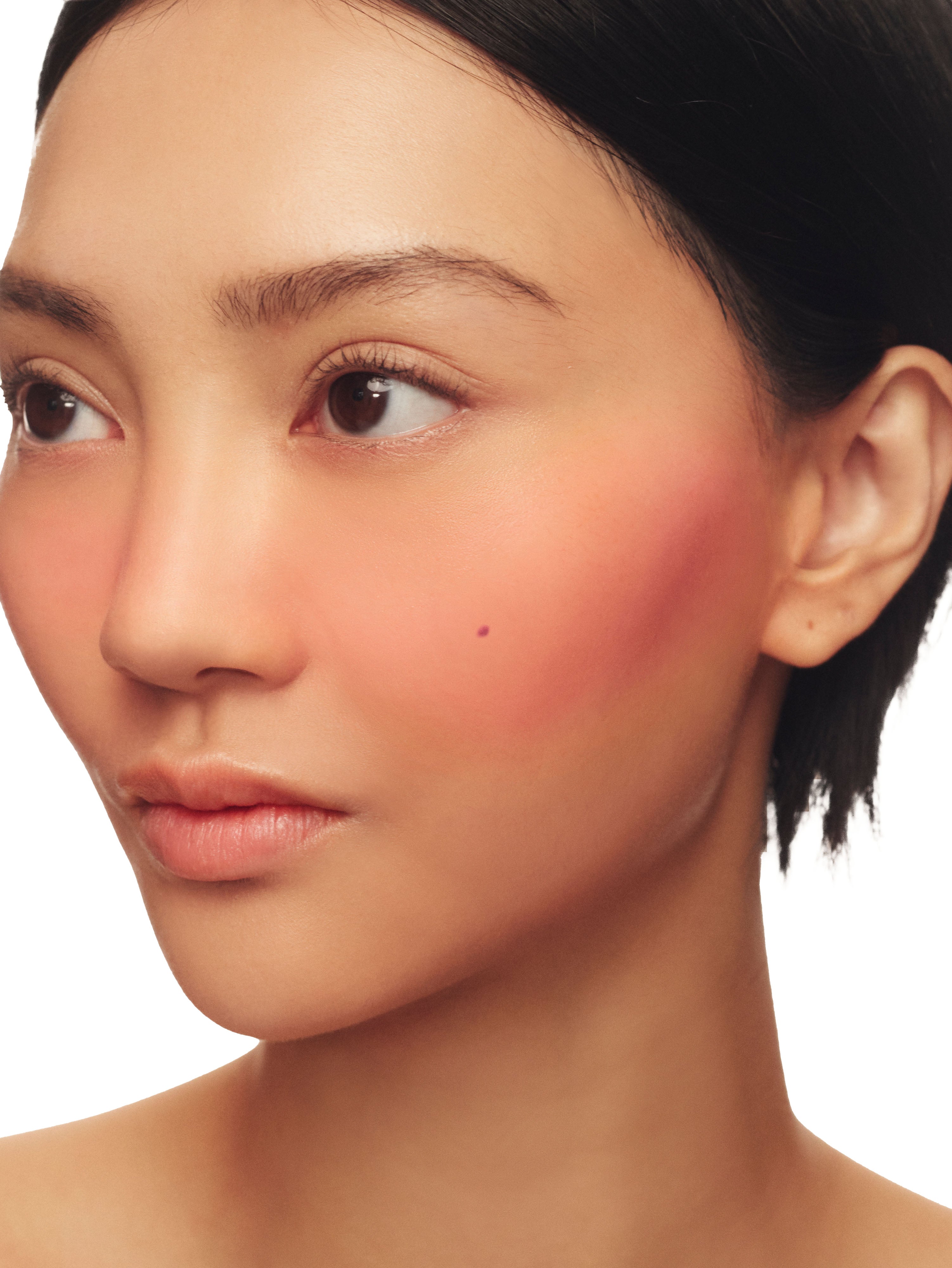Natural Blush On Makeup Set - Flattering Cheek Color Palette for Daily & Party Wear | Cruelty-Free & Long-Lasting