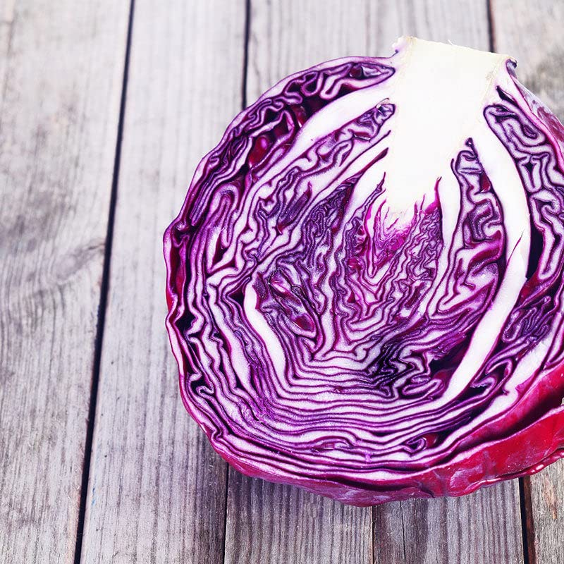 Red Acre Cabbage Seeds - 5 Lbs Heirloom, Open-Pollinated, Fast-Growing Vegetable Seeds for Container Gardening | Perfect for Home Gardens, Urban Farming & Sustainable Agriculture