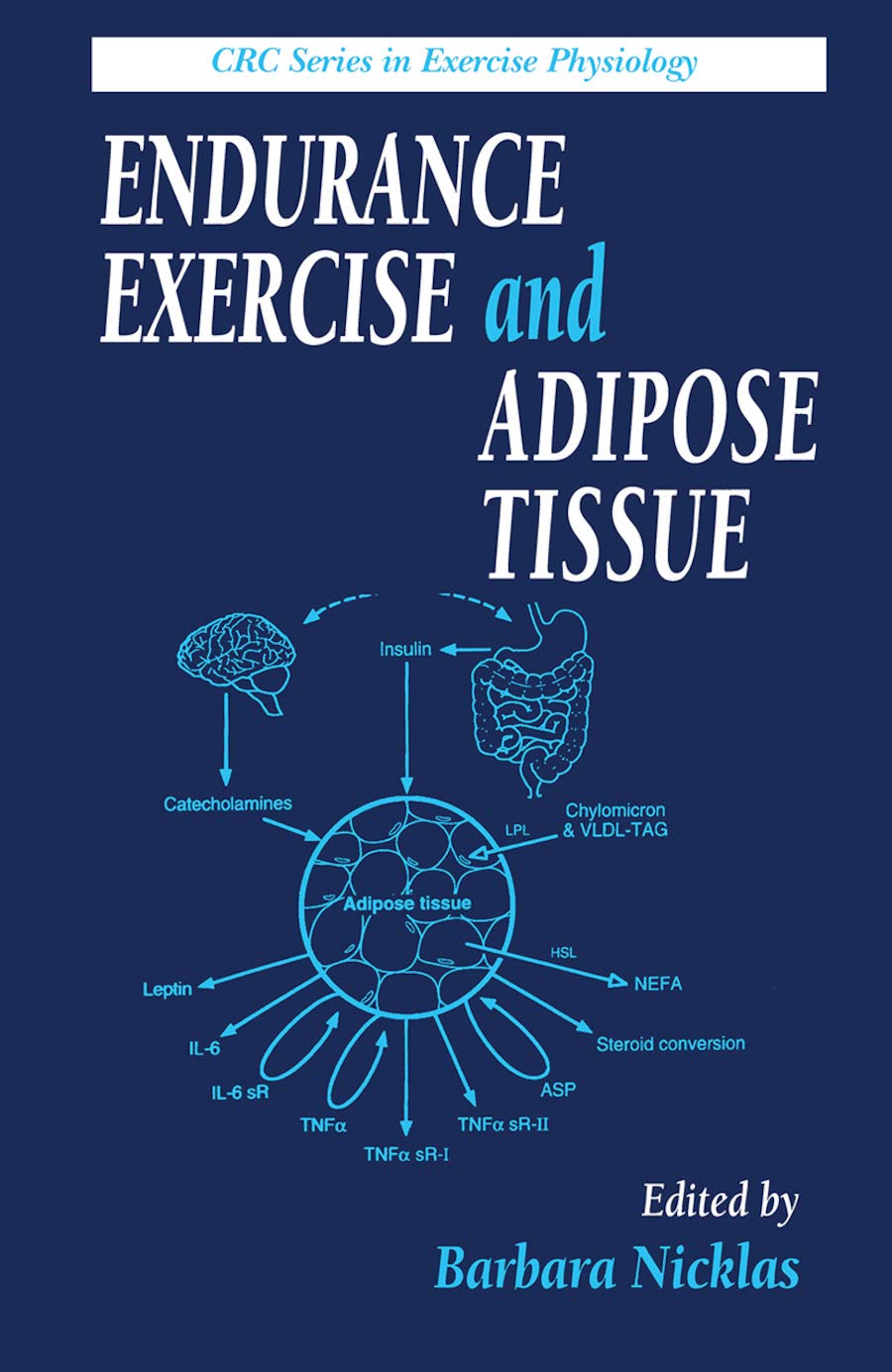 Endurance Exercise and Adipose Tissue: Physiology, Benefits & Fat Loss | Workout Science for Athletes & Fitness Enthusiasts