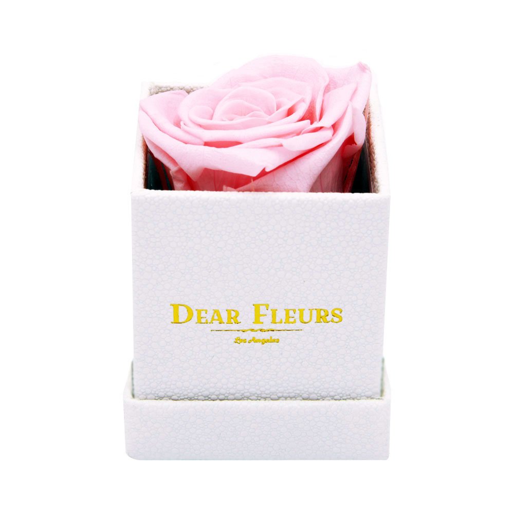 Petit Rose | Real Preserved Roses That Last 1 Year | Eternal Rose Gift in Rose Quartz Pink with White Leather Box - Perfect for Anniversaries, Valentine's Day & Romantic Gifts