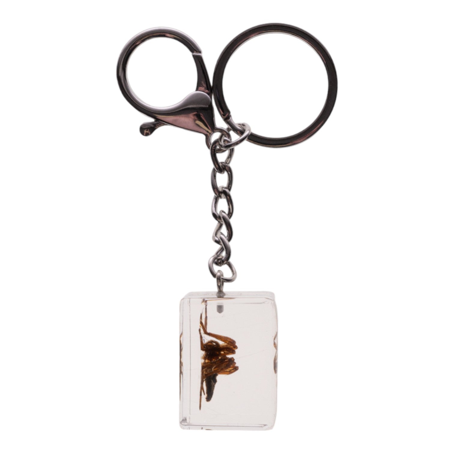 Real Spider Encased in Acrylic Cube Keychain - Unique Science & Nature Collector's Item - Perfect for Halloween Decor, Gifts for Entomology Lovers, and Gothic Fashion Accessories