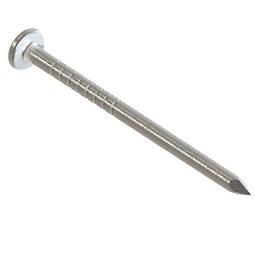 Stainless Steel Trim Nails - 1lb Box, Pebblestone Clay Finish - Rust-Resistant Construction Nails for Home Improvement, Woodworking & DIY Projects