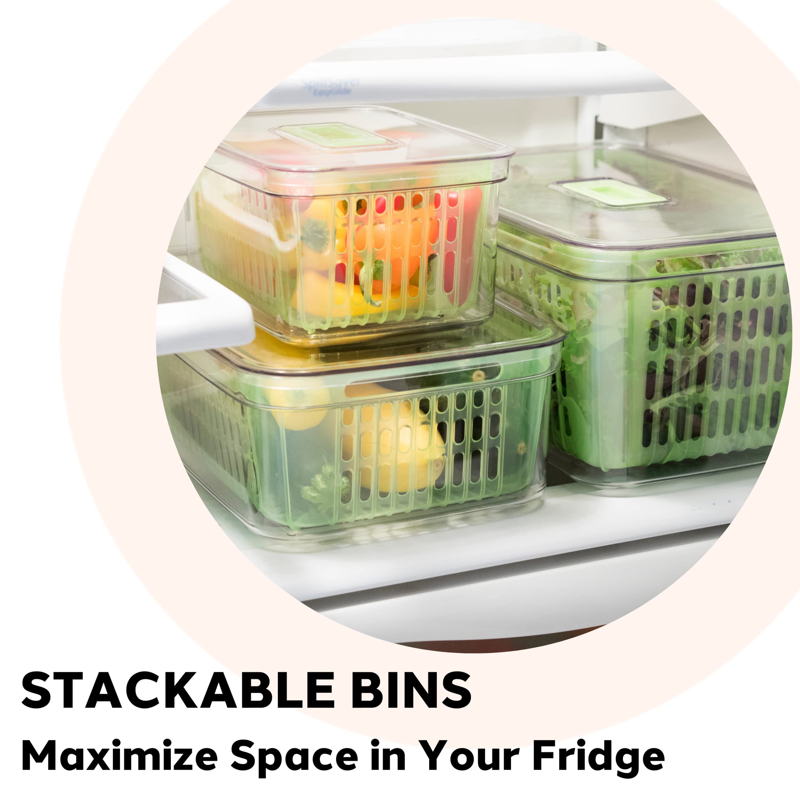 Oggi Store Fresh Veggie Bin - Clear Refrigerator Organizer Bins for Vegetables, Kitchen Storage Containers & Food Organization | Perfect for Fridge, Pantry & Meal Prep Organization