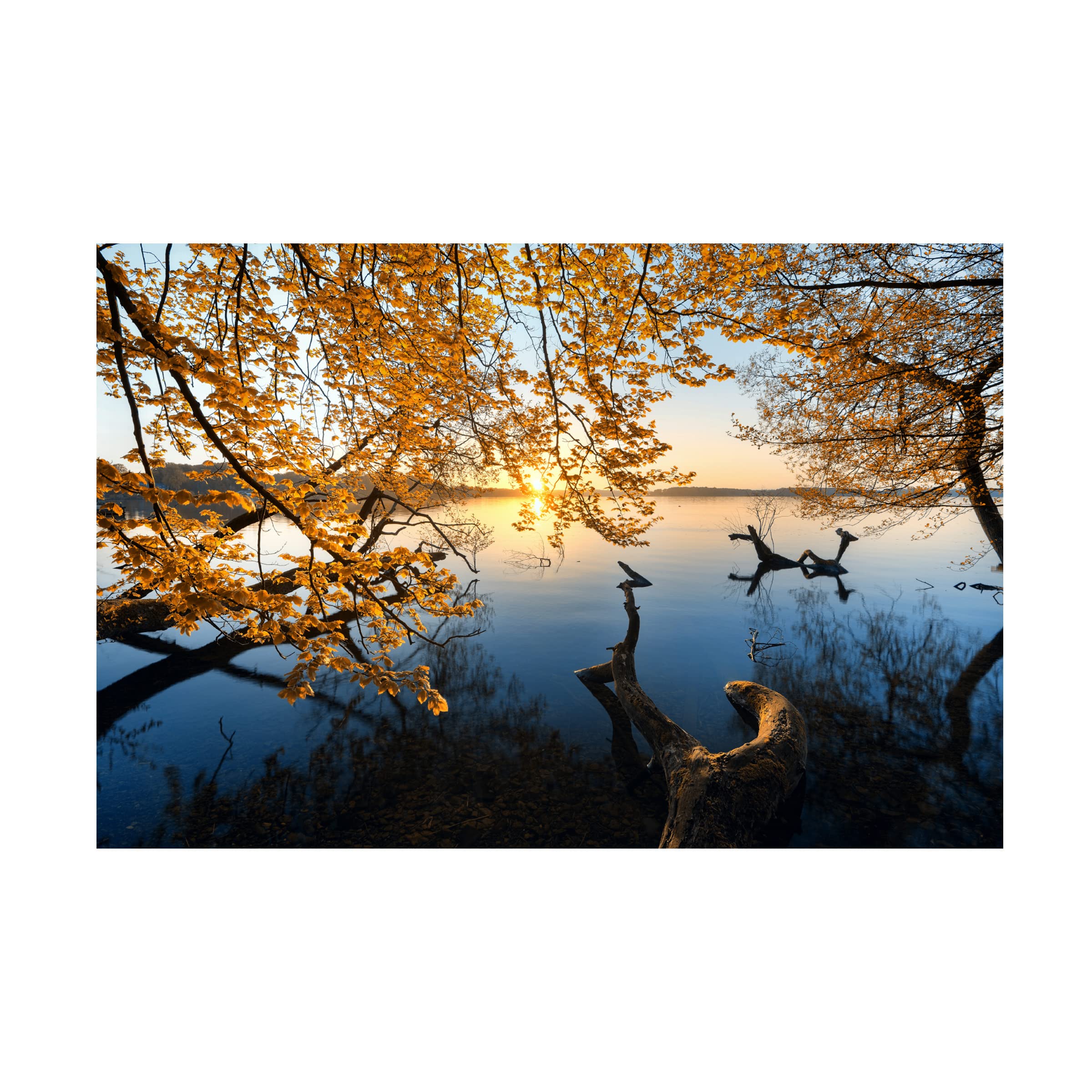 Trademark Fine Art 'Autumn Morning' Canvas Wall Art by Keller - Perfect for Living Room, Bedroom & Office Decor